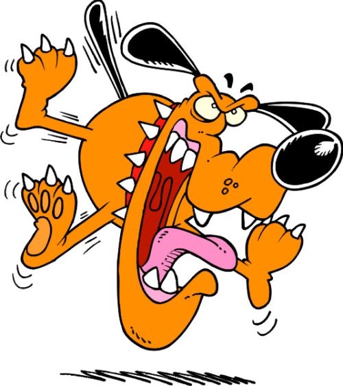 Seppgerlinde und die C Limo Das Kadett C Forum powered by www